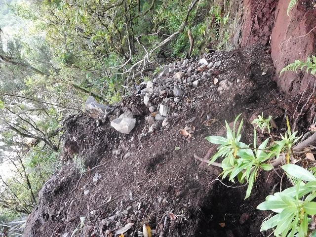 10 August 2015 Levada do Norte and Barbinhas ascent — The feeder levadas and the search for the ascent — photo 18