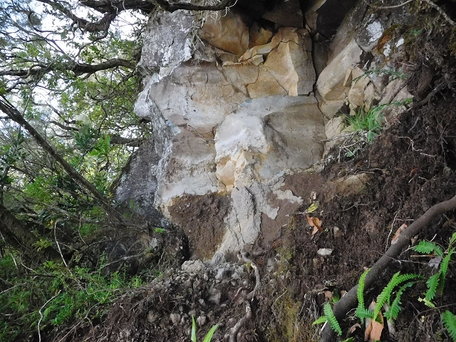 10 August 2015 Levada do Norte and Barbinhas ascent — The feeder levadas and the search for the ascent — photo 19
