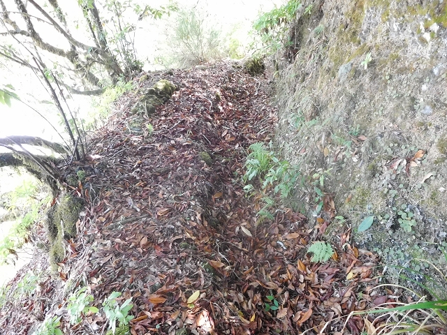 10 August 2015 Levada do Norte and Barbinhas ascent — The feeder levadas and the search for the ascent — photo 20