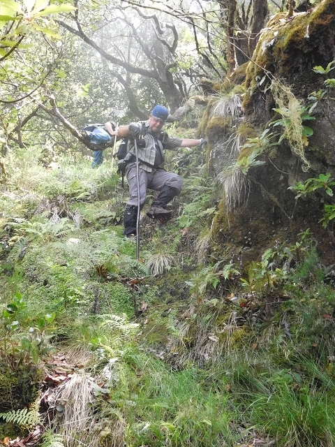 10 August 2015 Levada do Norte and Barbinhas ascent — The feeder levadas and the search for the ascent — photo 22