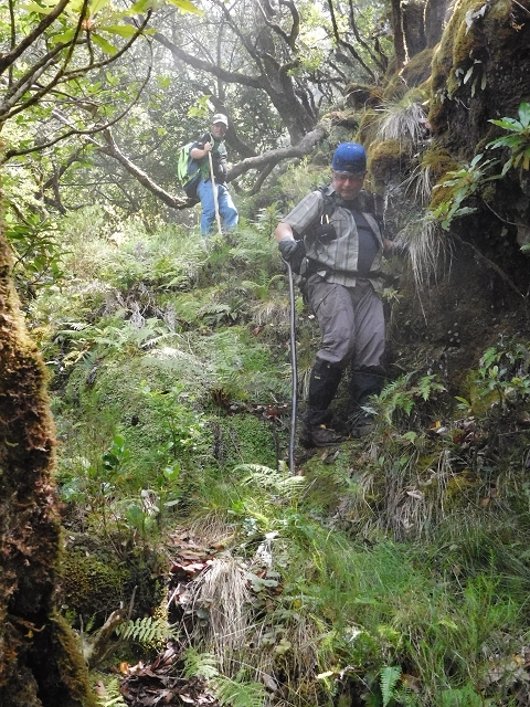10 August 2015 Levada do Norte and Barbinhas ascent — The feeder levadas and the search for the ascent — photo 23