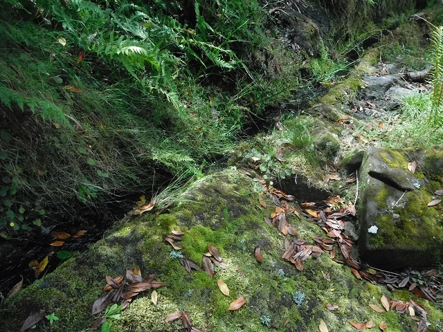 10 August 2015 Levada do Norte and Barbinhas ascent — The feeder levadas and the search for the ascent — photo 24