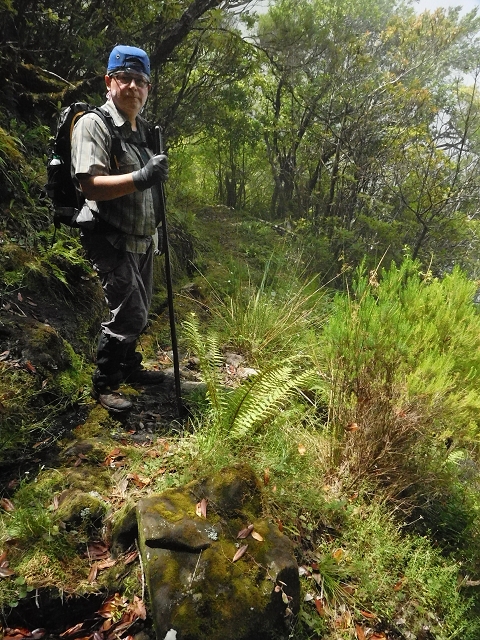 10 August 2015 Levada do Norte and Barbinhas ascent — The feeder levadas and the search for the ascent — photo 26