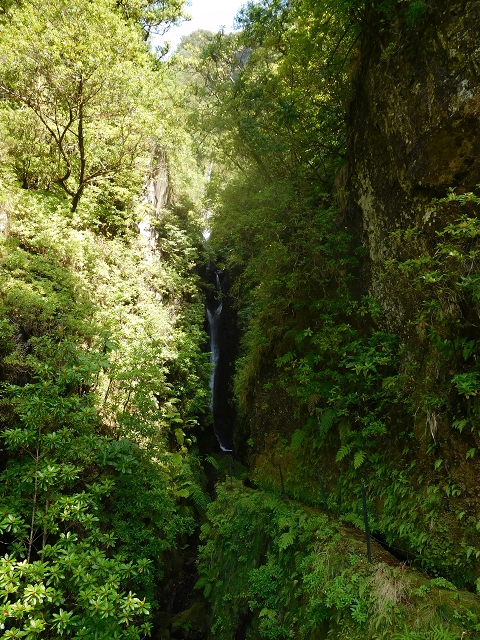10 August 2015 Levada do Norte and Barbinhas ascent — The way back — photo 1
