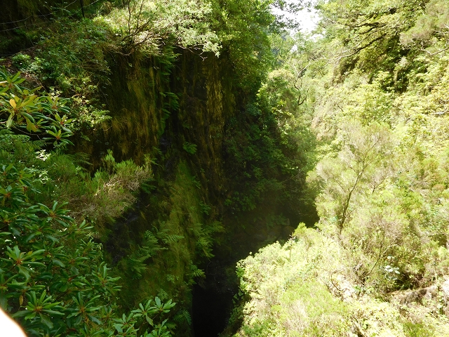 10 August 2015 Levada do Norte and Barbinhas ascent — The way back — photo 2