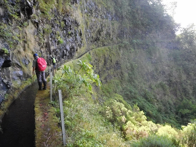 10 August 2015 Levada do Norte and Barbinhas ascent — The way back — photo 3