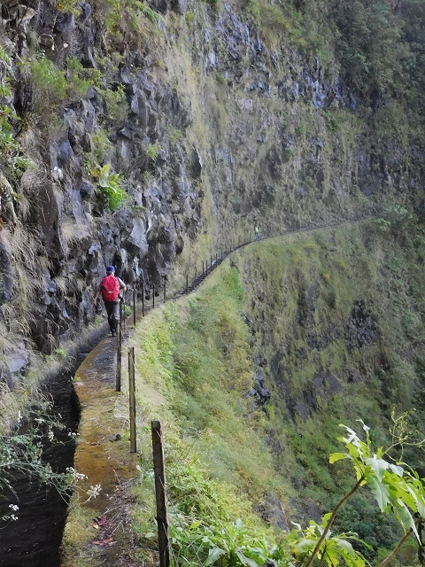 10 August 2015 Levada do Norte and Barbinhas ascent — The way back — photo 5