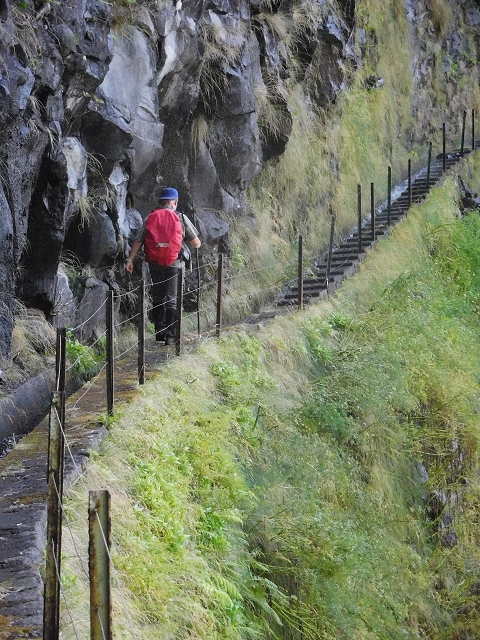 10 August 2015 Levada do Norte and Barbinhas ascent — The way back — photo 6