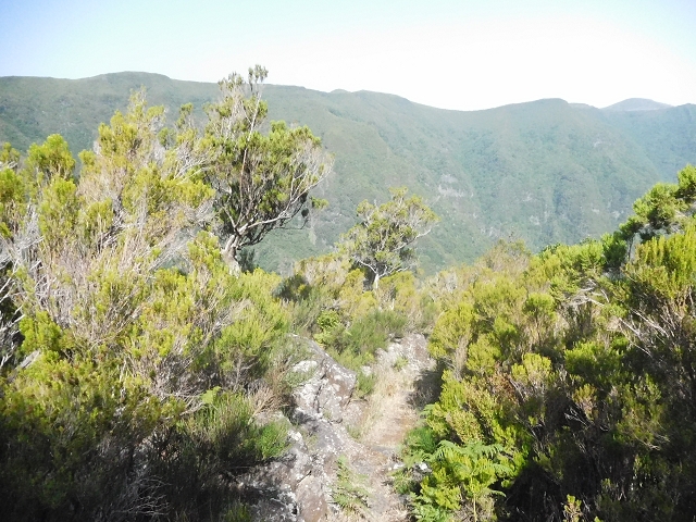 10 August 2015 Levada do Norte and Barbinhas ascent — From the plateau to the Levada do Norte — photo 9