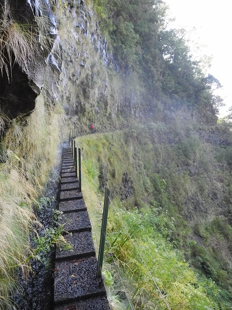 10 August 2015 Levada do Norte and Barbinhas ascent — The way back — photo 7