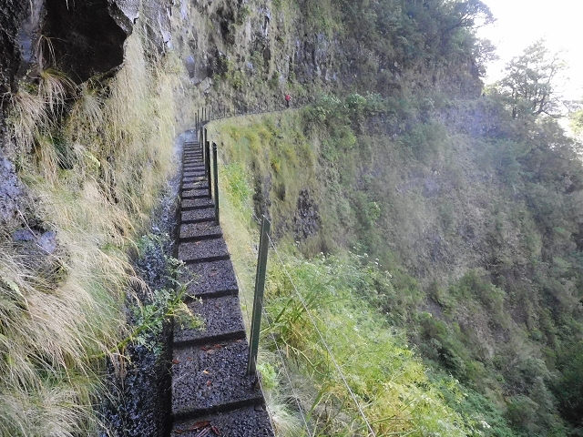 10 August 2015 Levada do Norte and Barbinhas ascent — The way back — photo 8