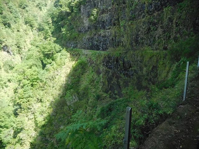 10 August 2015 Levada do Norte and Barbinhas ascent — The way back — photo 9