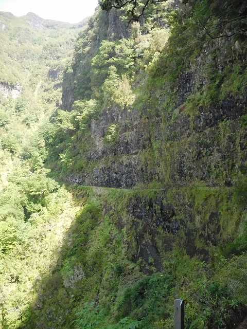 10 August 2015 Levada do Norte and Barbinhas ascent — The way back — photo 10