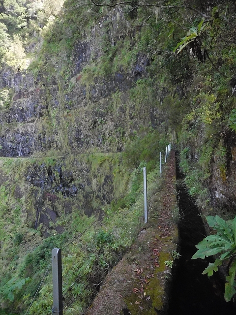 10 August 2015 Levada do Norte and Barbinhas ascent — The way back — photo 11
