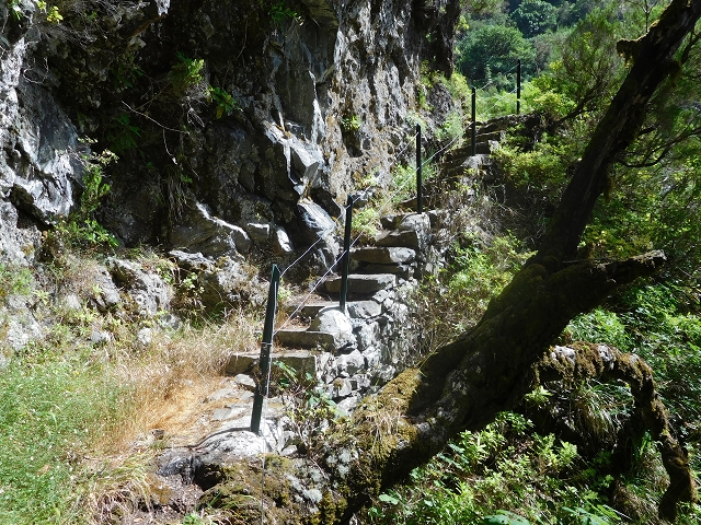 10 August 2015 Levada do Norte and Barbinhas ascent — The way back — photo 12