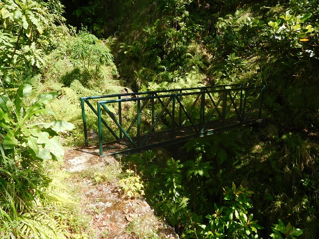 10 August 2015 Levada do Norte and Barbinhas ascent — The way back — photo 13