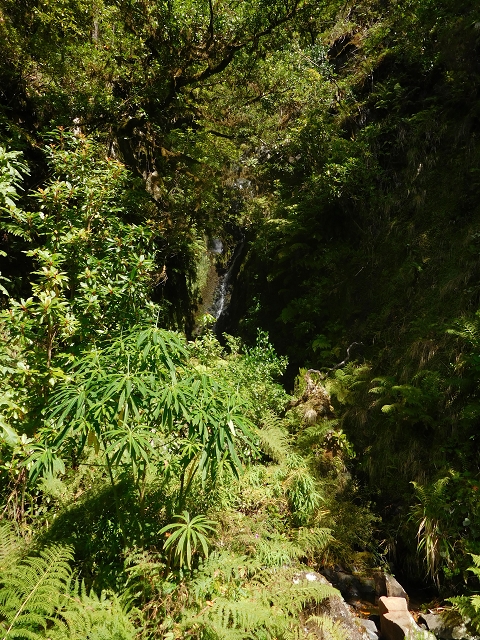 10 August 2015 Levada do Norte and Barbinhas ascent — The way back — photo 14