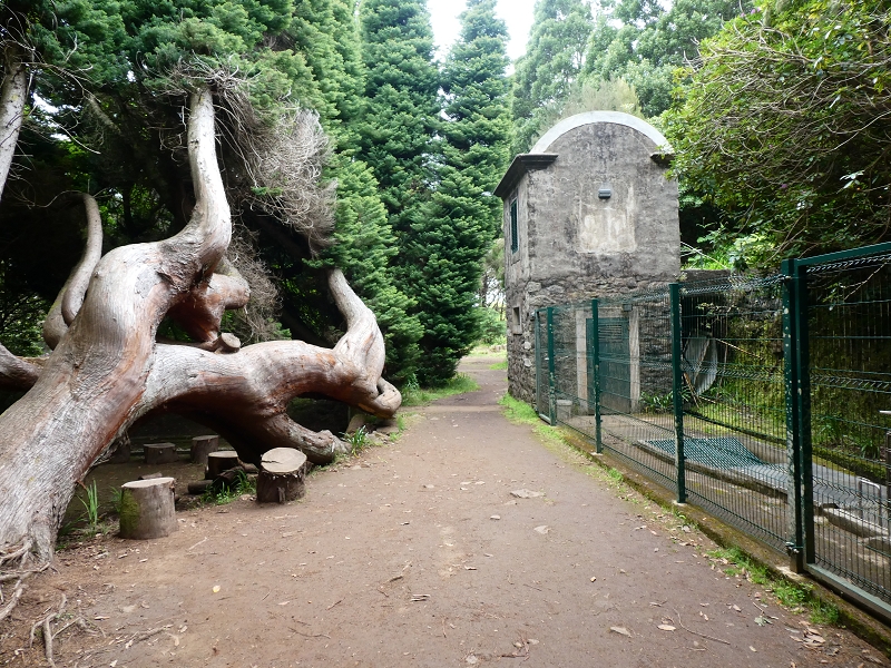 Levada da Serra do Faial von Lamaceiros/Lombo da Raiz zum Pico do Infante — Abschnitt 1 — Foto 9