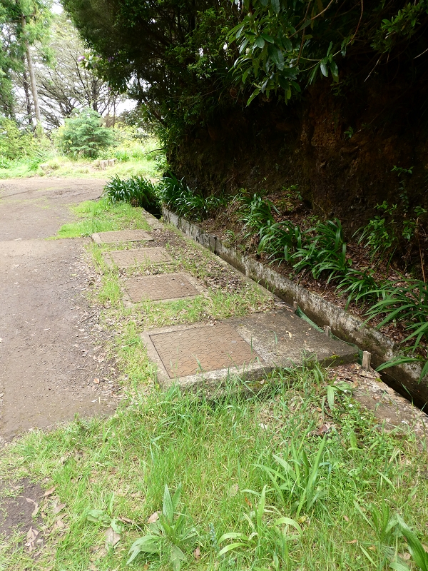 Levada da Serra do Faial von Lamaceiros/Lombo da Raiz zum Pico do Infante — Abschnitt 1 — Foto 11