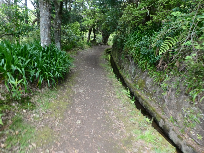 Levada da Serra do Faial von Lamaceiros/Lombo da Raiz zum Pico do Infante — Abschnitt 1 — Foto 1