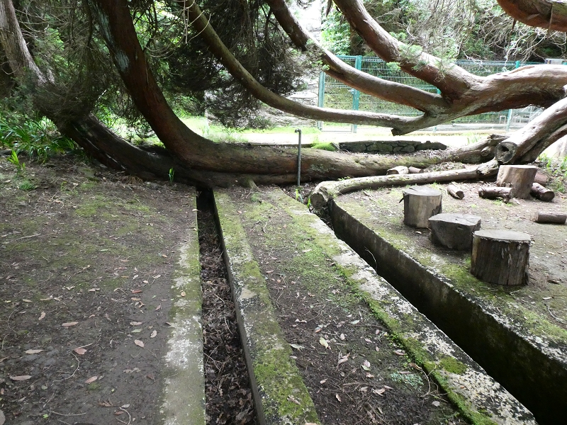 Levada da Serra do Faial von Lamaceiros/Lombo da Raiz zum Pico do Infante — Abschnitt 1 — Foto 1