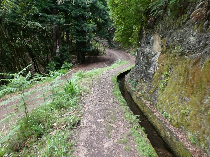 Levada da Serra do Faial von Lamaceiros/Lombo da Raiz zum Pico do Infante — Abschnitt 1 — Foto 2