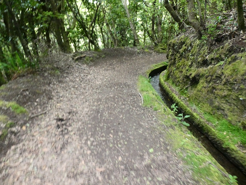 Levada da Serra do Faial von Lamaceiros/Lombo da Raiz zum Pico do Infante — Abschnitt 1 — Foto 3