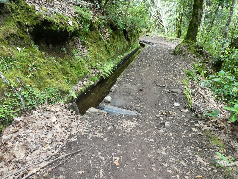 Levada da Serra do Faial von Lamaceiros/Lombo da Raiz zum Pico do Infante — Abschnitt 1 — Foto 7