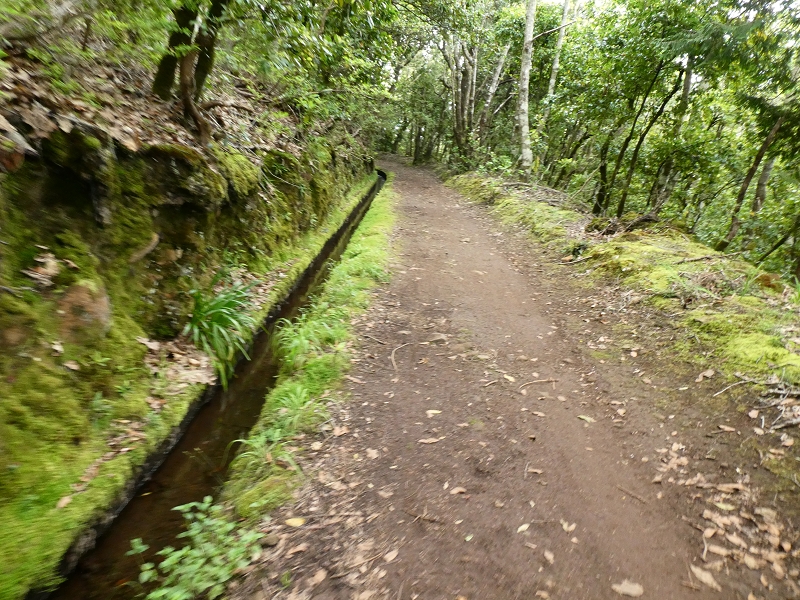 Levada da Serra do Faial von Lamaceiros/Lombo da Raiz zum Pico do Infante — Abschnitt 1 — Foto 4