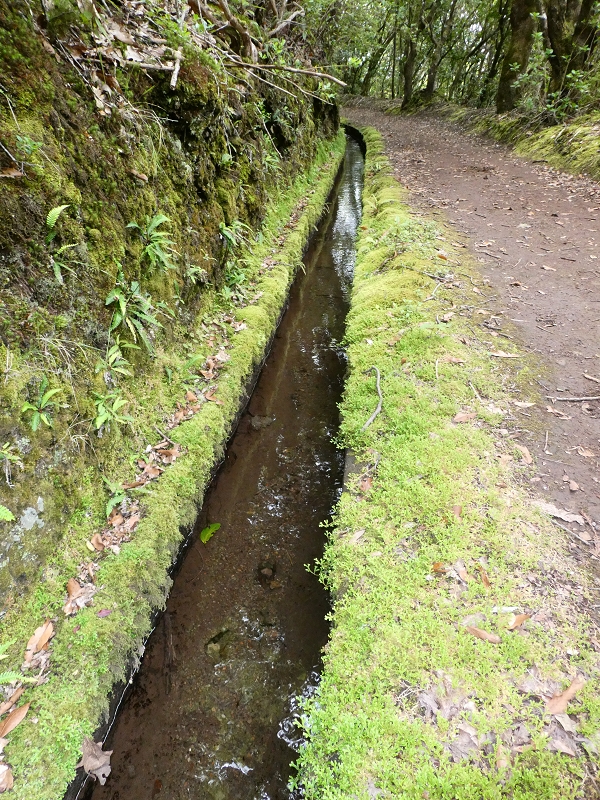 Levada da Serra do Faial von Lamaceiros/Lombo da Raiz zum Pico do Infante — Abschnitt 1 — Foto 5