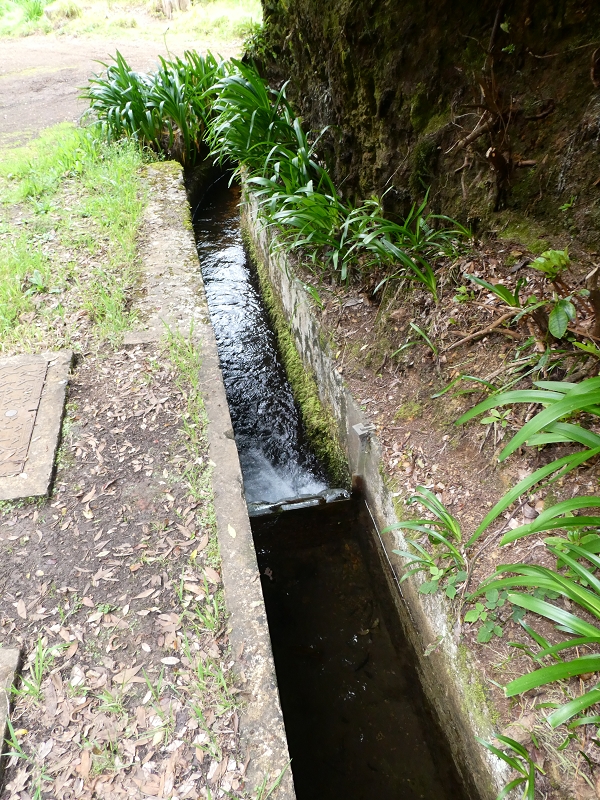 Levada da Serra do Faial von Lamaceiros/Lombo da Raiz zum Pico do Infante — Abschnitt 1 — Foto 5