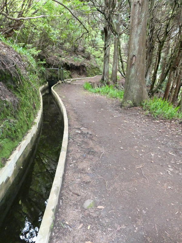 Levada da Serra do Faial von Lamaceiros/Lombo da Raiz zum Pico do Infante — Abschnitt 1 — Foto 7