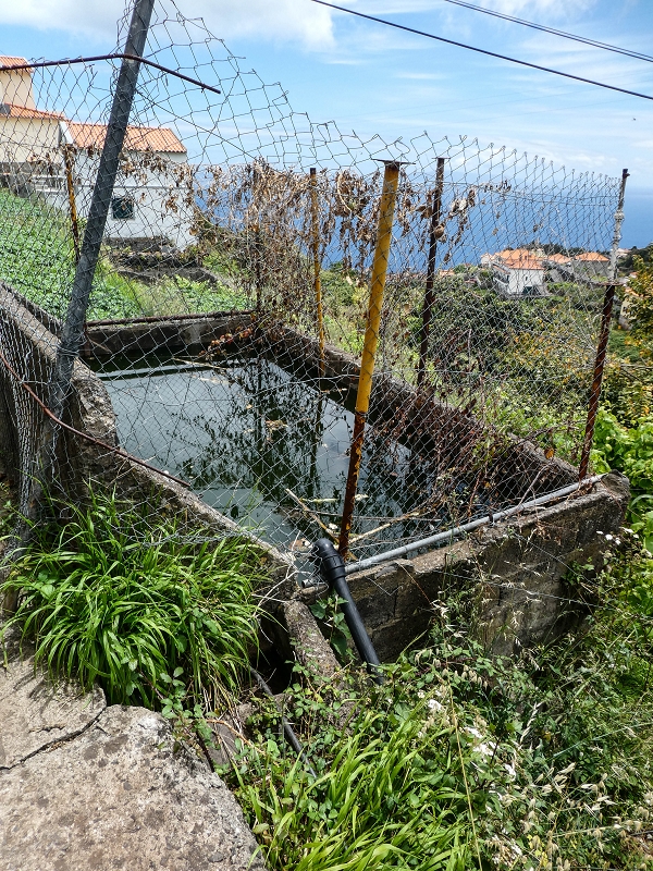 11.05.2019 Nochmals auf die Levada da Roda — On the Levada da Roda to the first branch — photo 5