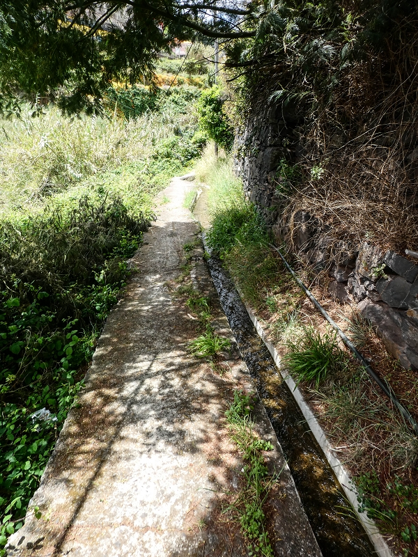 11.05.2019 Nochmals auf die Levada da Roda — On the Levada da Roda to the first branch — photo 6
