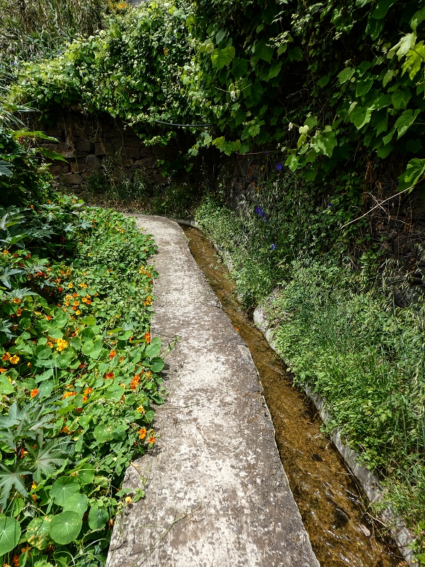 11.05.2019 Nochmals auf die Levada da Roda — On the Levada da Roda to the first branch — photo 7