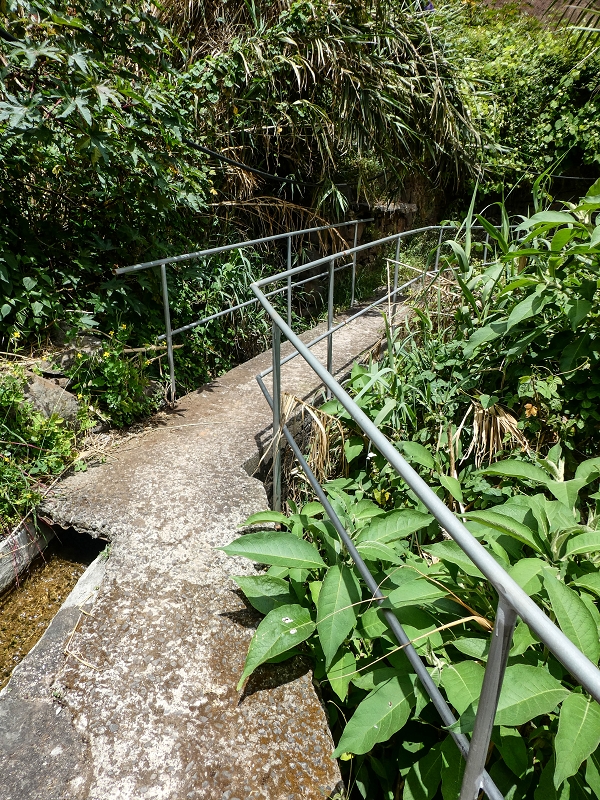 11.05.2019 Nochmals auf die Levada da Roda — On the Levada da Roda to the first branch — photo 8