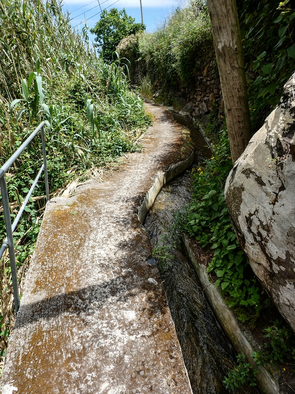 Levada da Roda — Zum ersten Abzweig — Foto 3