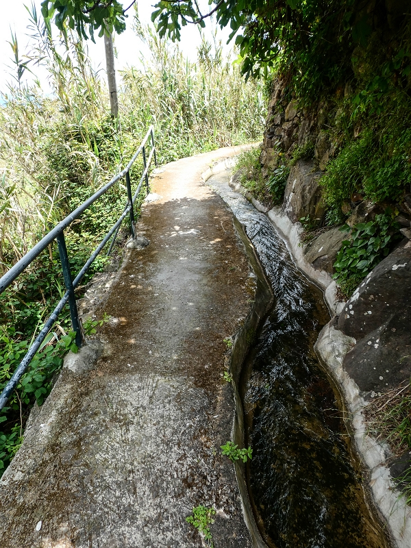 11.05.2019 Nochmals auf die Levada da Roda — On the Levada da Roda to the first branch — photo 10