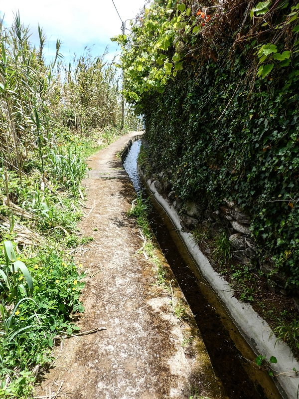 Levada da Roda — Zum ersten Abzweig — Foto 4