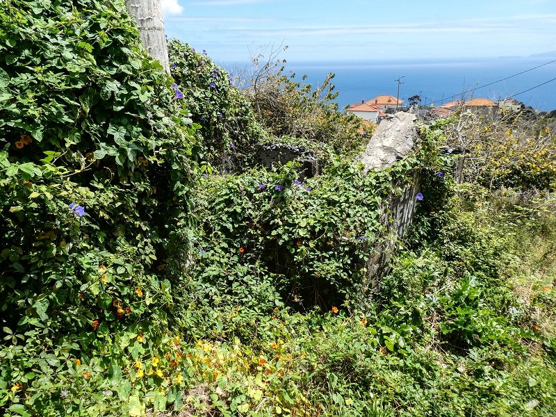 Levada da Roda — Die Wassermühle am ersten Abzweig — Foto 3