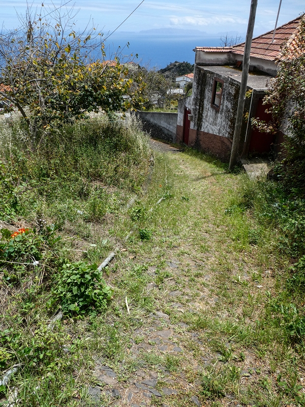 Levada da Roda — Die Wassermühle am ersten Abzweig — Foto 4