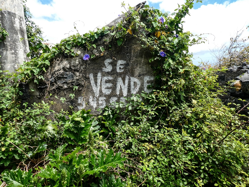 Levada da Roda — Die Wassermühle am ersten Abzweig — Foto 5