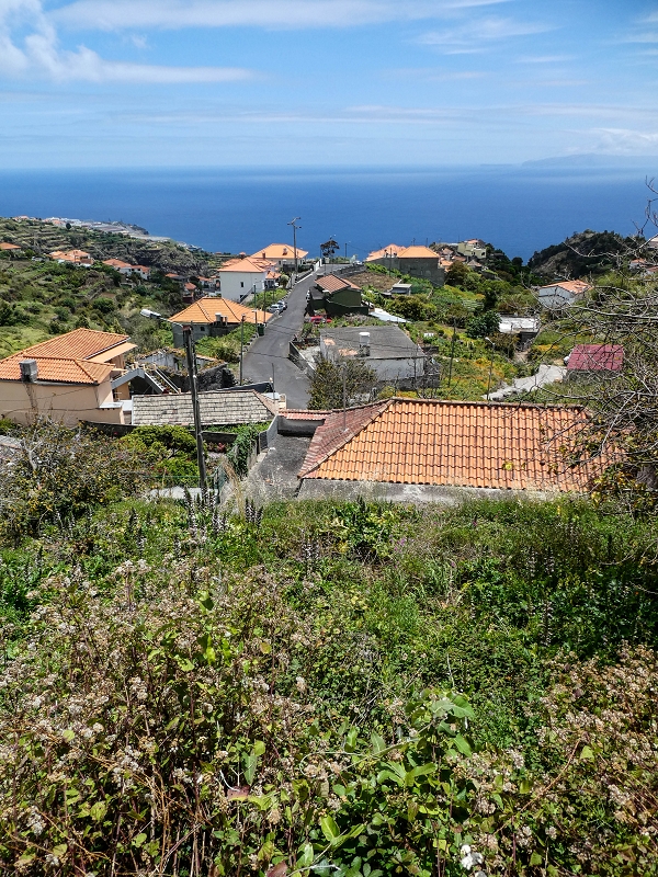 11.05.2019 Nochmals auf die Levada da Roda — On along the main branch to the wash house — photo 1