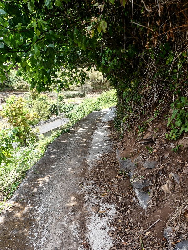 11.05.2019 Nochmals auf die Levada da Roda — On along the main branch to the wash house — photo 2