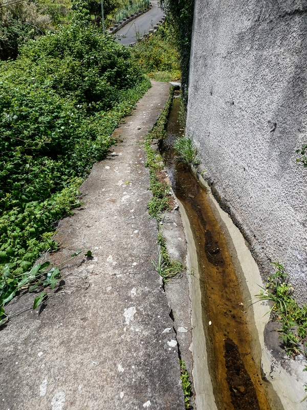 Levada da Roda — Weiter auf dem Hauptast zum Waschhaus — Foto 1