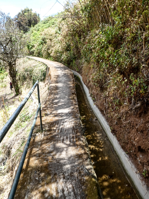 11.05.2019 Nochmals auf die Levada da Roda — On along the main branch to the wash house — photo 6