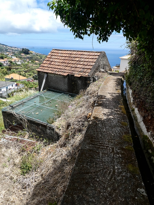 Levada da Roda — Weiter auf dem Hauptast zum Waschhaus — Foto 3