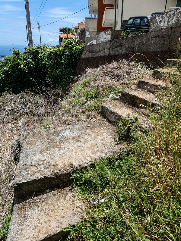 11.05.2019 Nochmals auf die Levada da Roda — On along the main branch to the wash house — photo 9