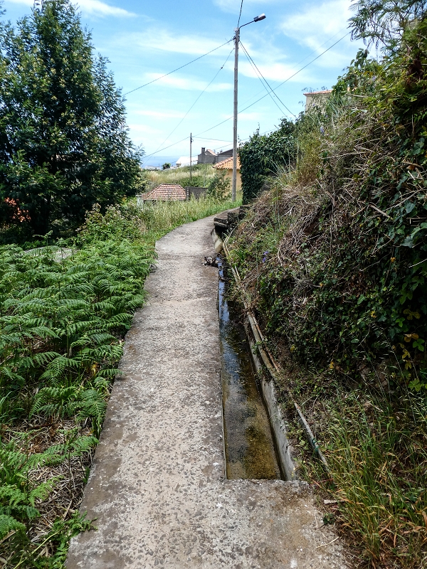 Levada da Roda — Weiter auf dem Hauptast zum Waschhaus — Foto 6