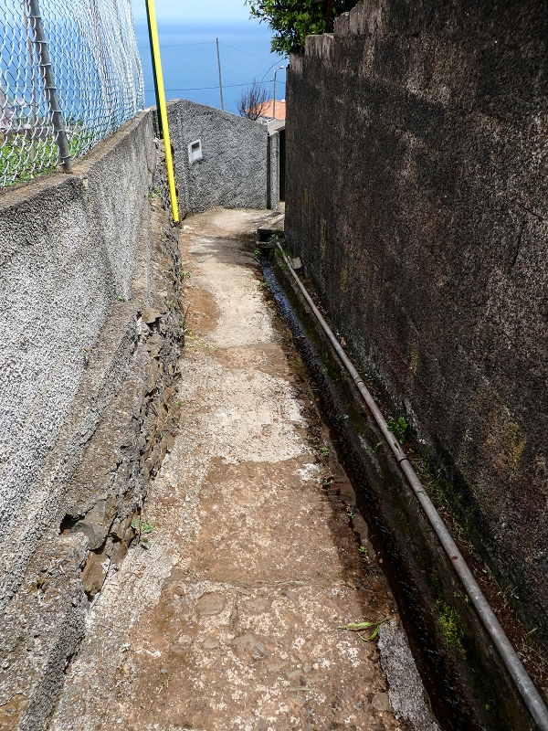 Levada da Roda — Weiter auf dem Hauptast zum Waschhaus — Foto 7